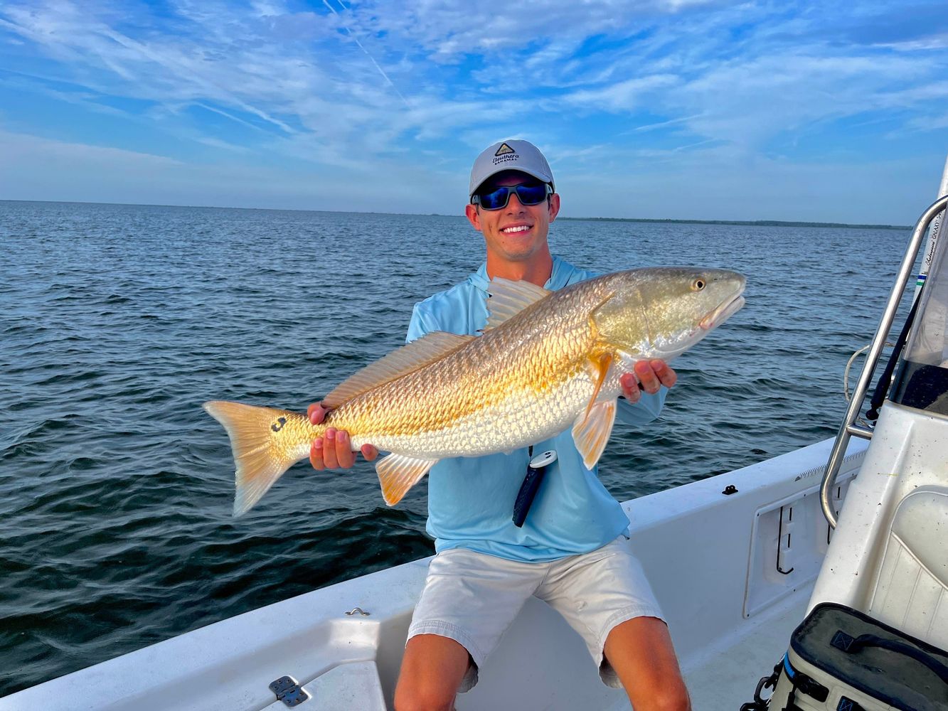 Golden red drum